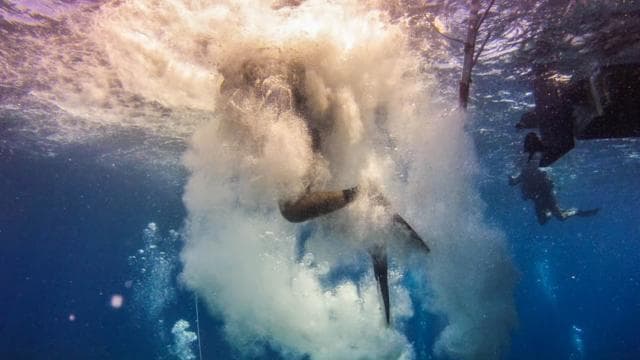 Catalina Island Tauchtour ab Punta Cana — Guided tour and outdoor activity