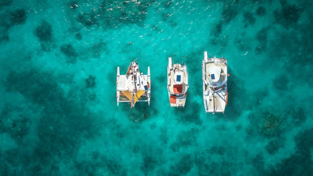 Punta Cana: Catamaran Tour s Taiguey Emotion Show — Guided tour and outdoor activity