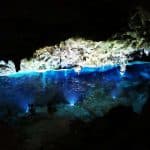 Bayahibe: Národní park Jungle Walk a šnorchlování v Cenotes — Guided tour and outdoor activity