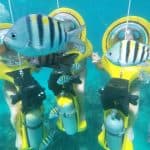 From Punta Cana: ScubaDoo, Snorkel & Glass Bottom Boat Tour â Guided tour and outdoor activity