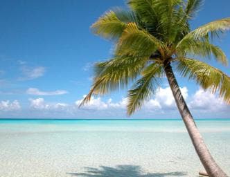 Private: Saona Island Full-Day Escape with Meals & Beverages — Guided tour and outdoor activity