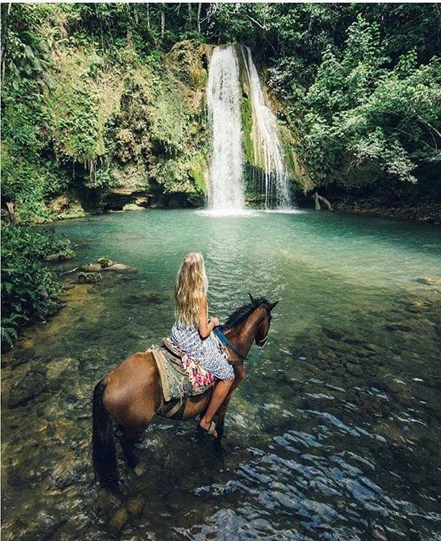 Mejores Tours en Samaná República Dominicana (Guía 2026) | Principales excursiones