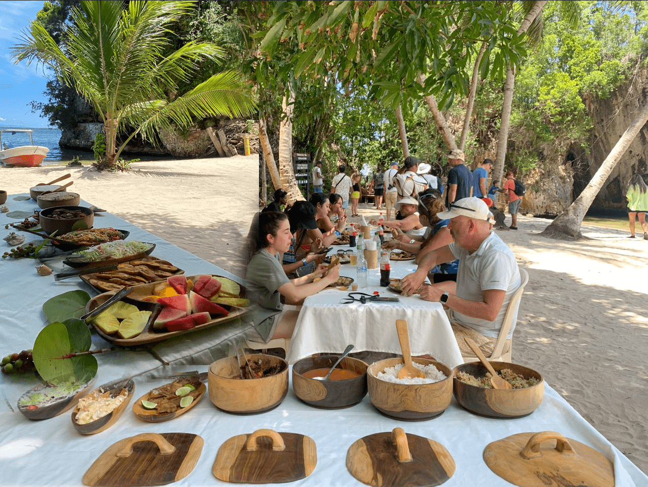 ¿Cómo puedo viajar desde Parque Nacional Los Haitises a Punta Cana?
