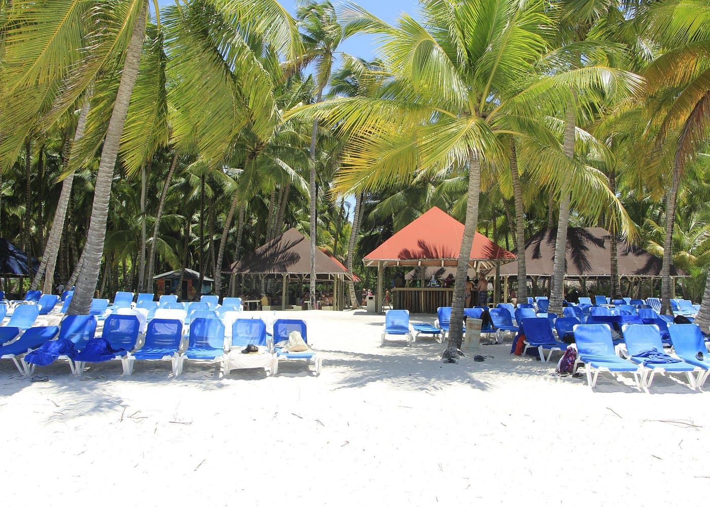 Saona Island Tour With Kids: Family Tips & Activities