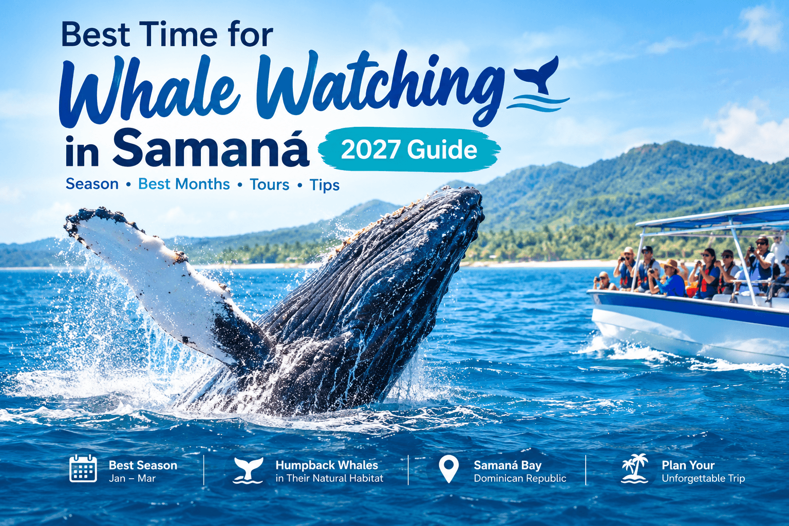 Mejor Época para Avistar Ballenas en Samaná: Guía 2027