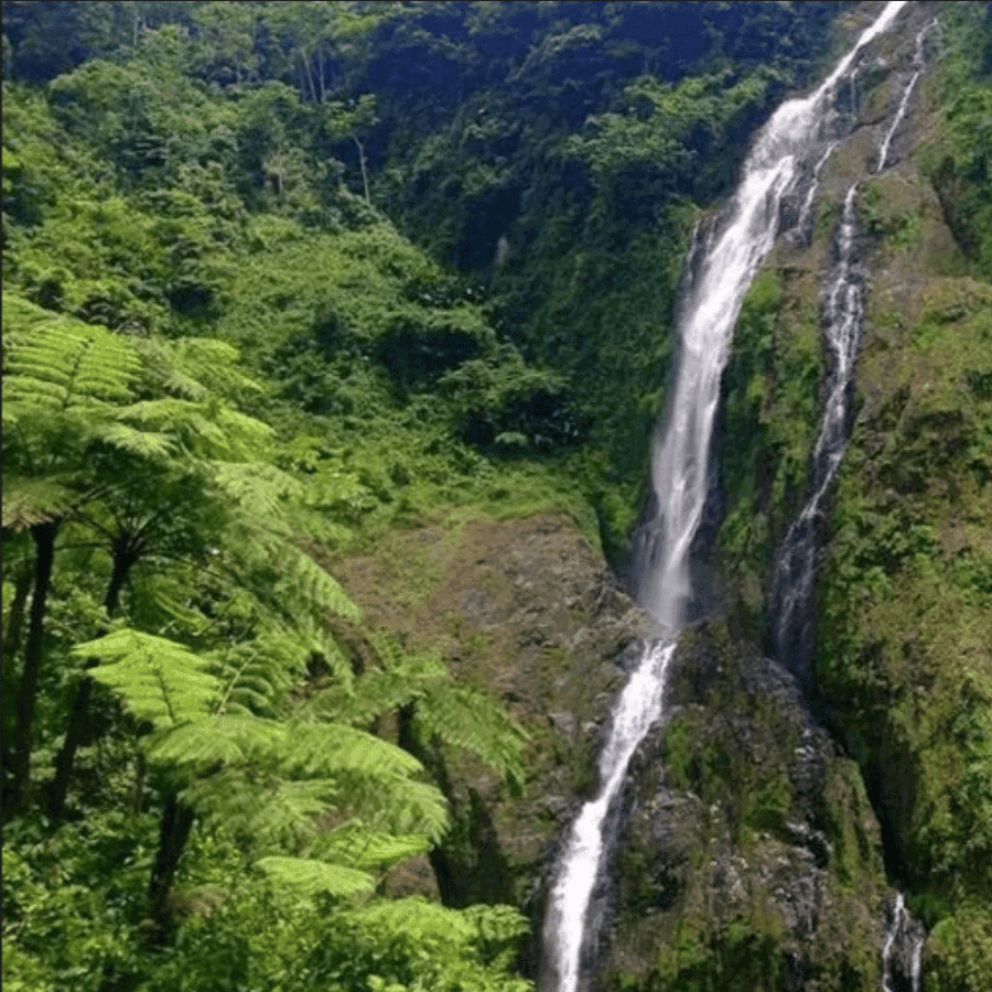 Punta Cana: Salto La Jalda & Montana redonda — Guided tour and outdoor activity