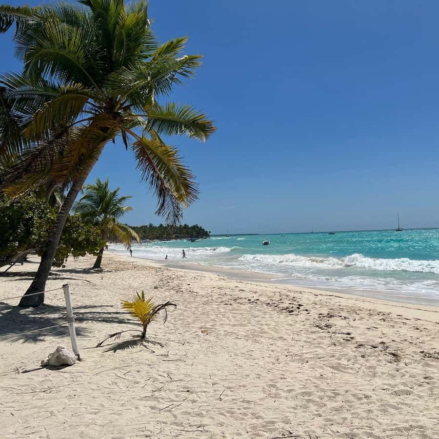 Tour zur Insel Saona und zum Fluss Chavon mit Mittagessen und Getränken — Guided tour and outdoor activity