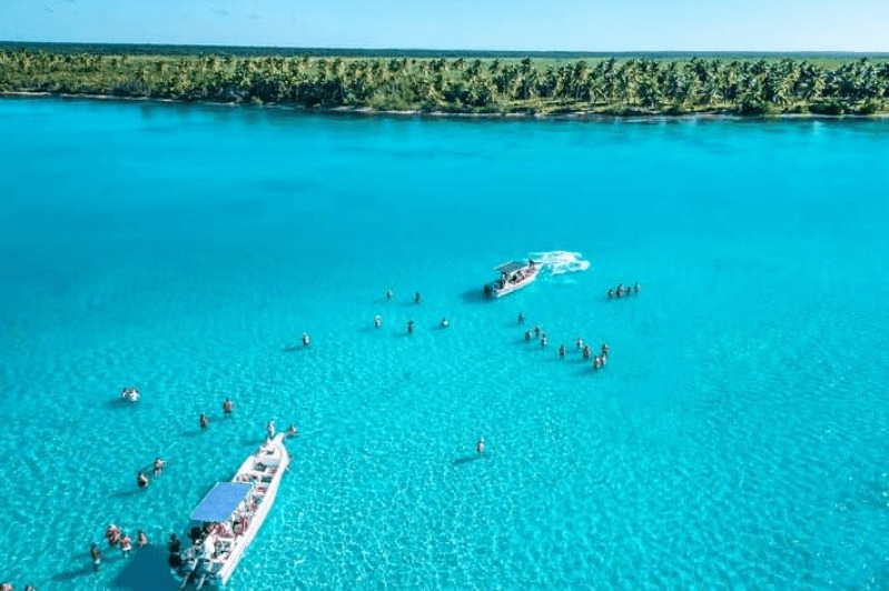 Best Time to Visit Saona Island: Weather & Travel Tips
