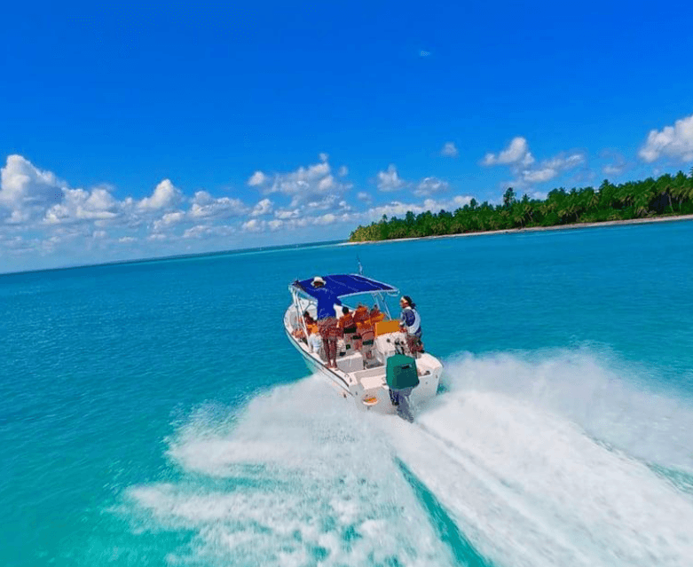 Best Time to Visit Saona Island: Weather, Seasons and Travel Tips