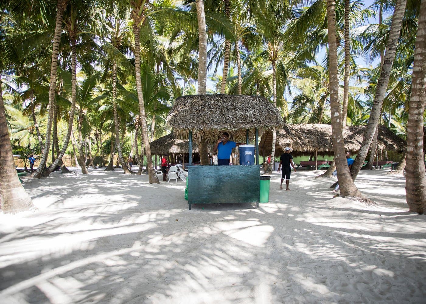 Saona Island Tour Scams: 12 Booking Red Flags